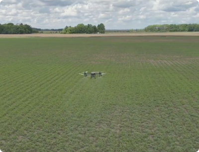 full field application